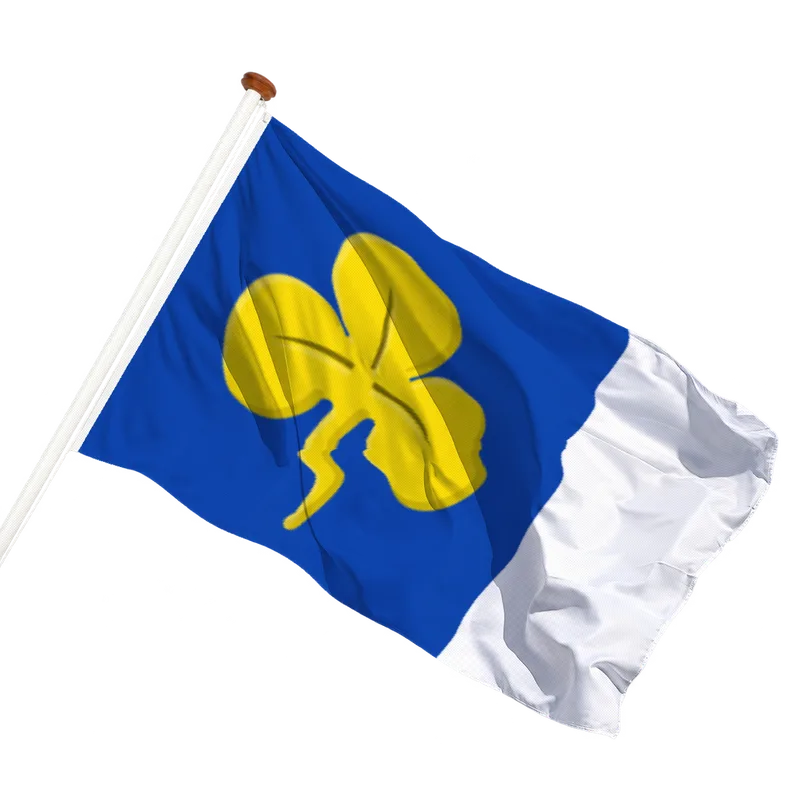 Vlag van Warstiens