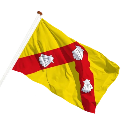 Transparant achtergrond