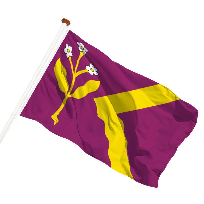 Vlag van Zorgvlied
