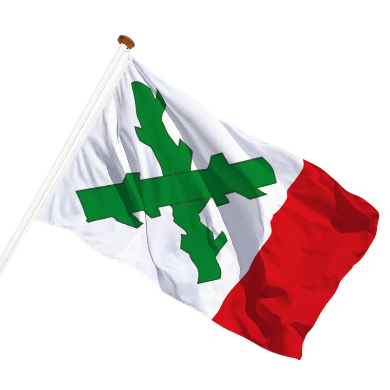 Vlag van Friens