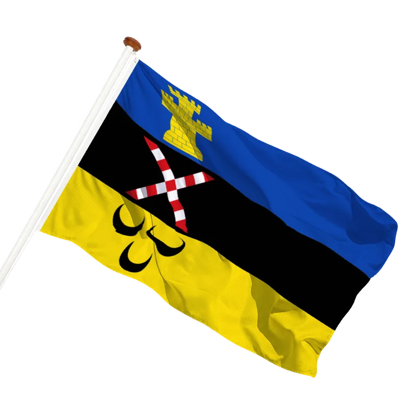 Vlag van Meierijstad