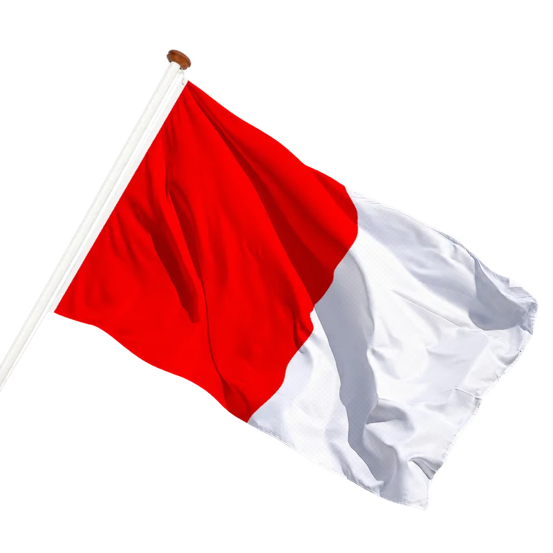 Vlag van Valburg