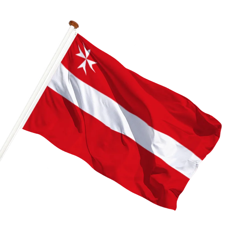 Vlag van Warffum
