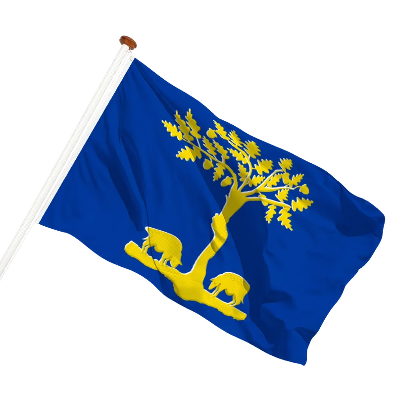Vlag van Lommel