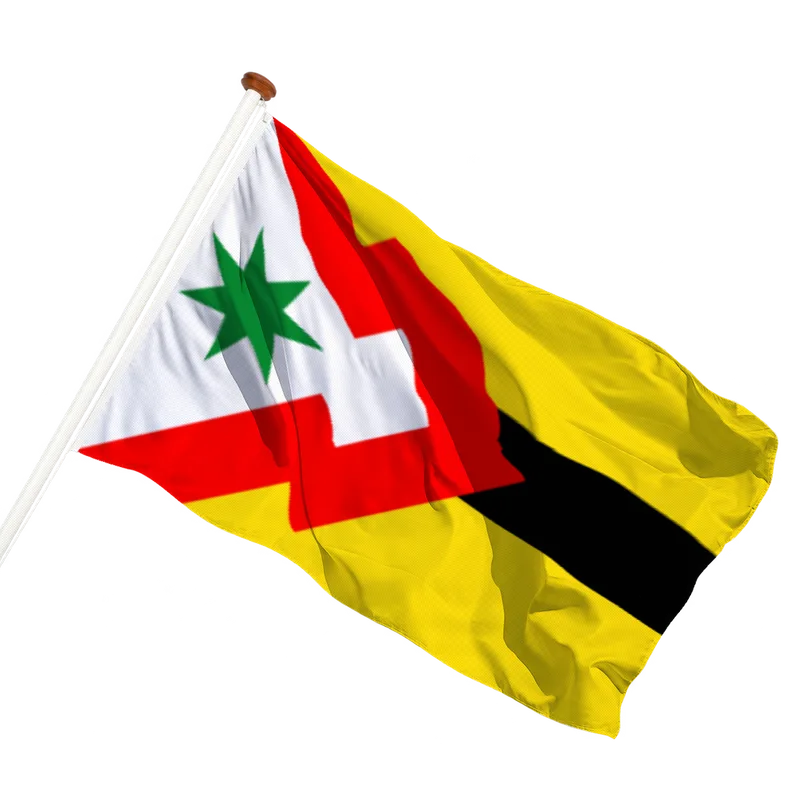 Vlag van Rottum