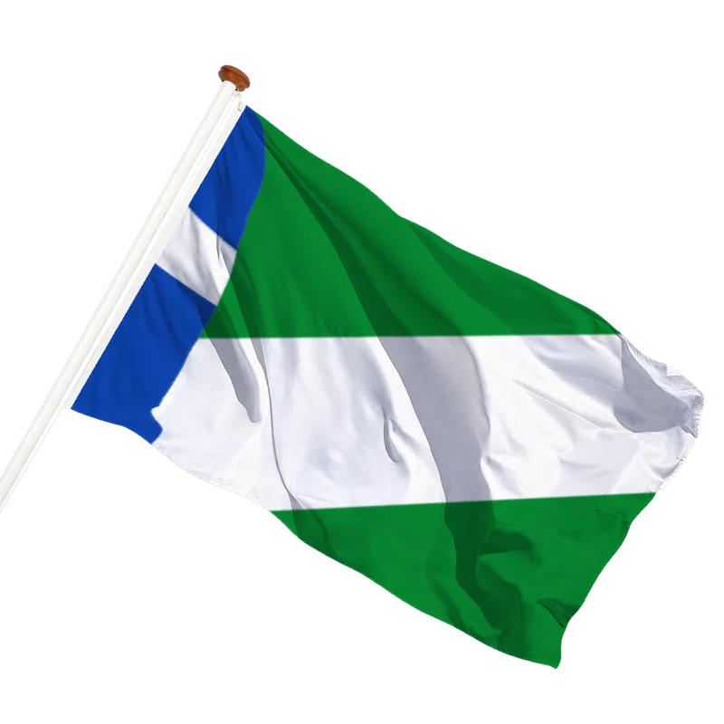 Vlag van Burgwerd