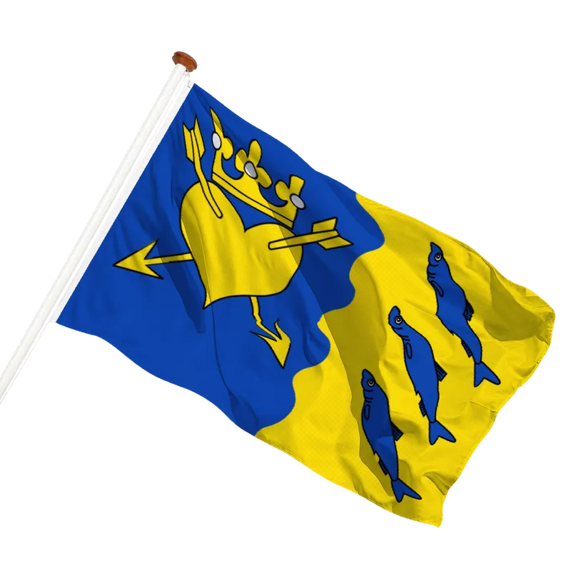 Vlag van Nuis