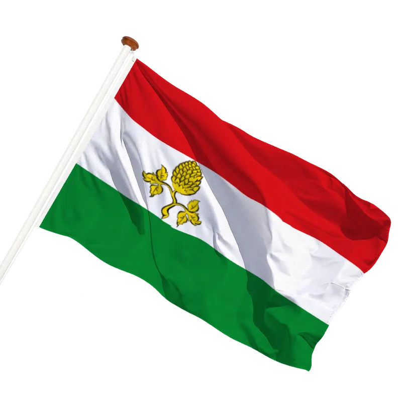 Vlag van Peize