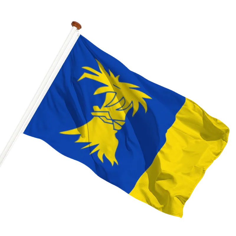 Vlag van Reduzum