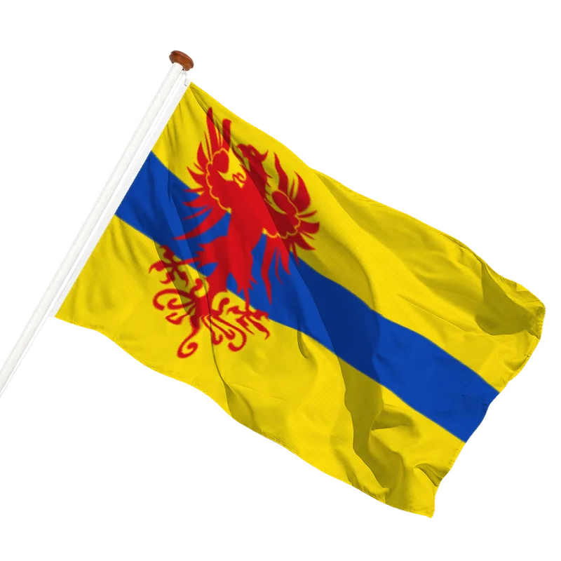 Vlag van Schoonebeek