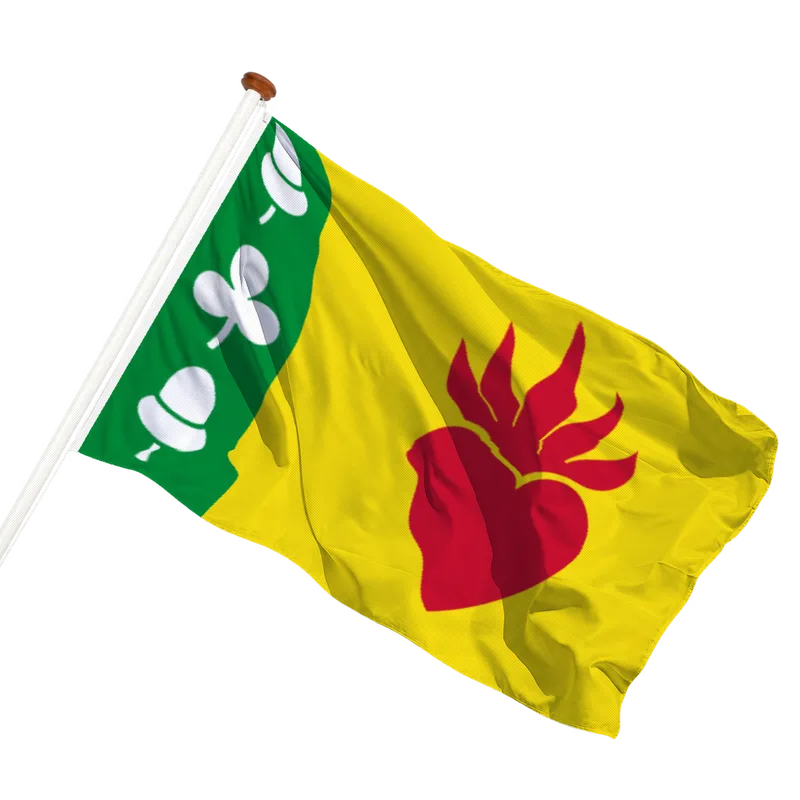 Vlag van Augustinusga