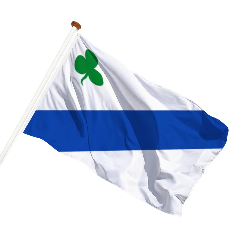 Vlag van Lioessens