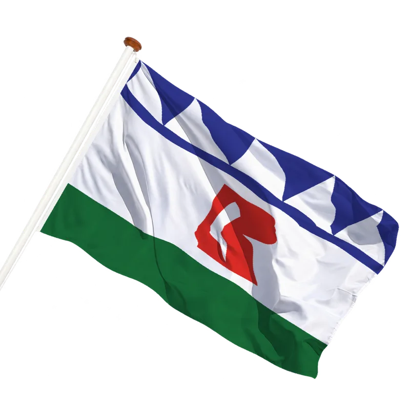 Vlag van Rincon