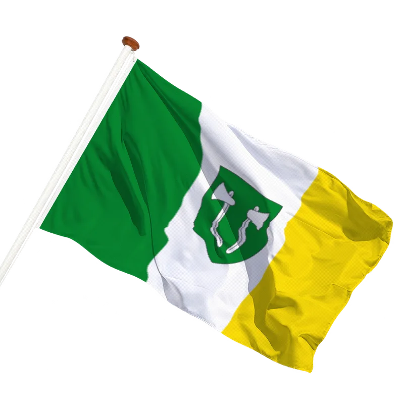 Vlag van Beilen