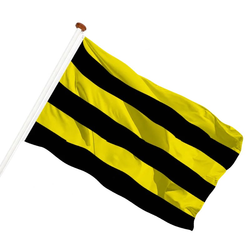 Vlag van Schiedam