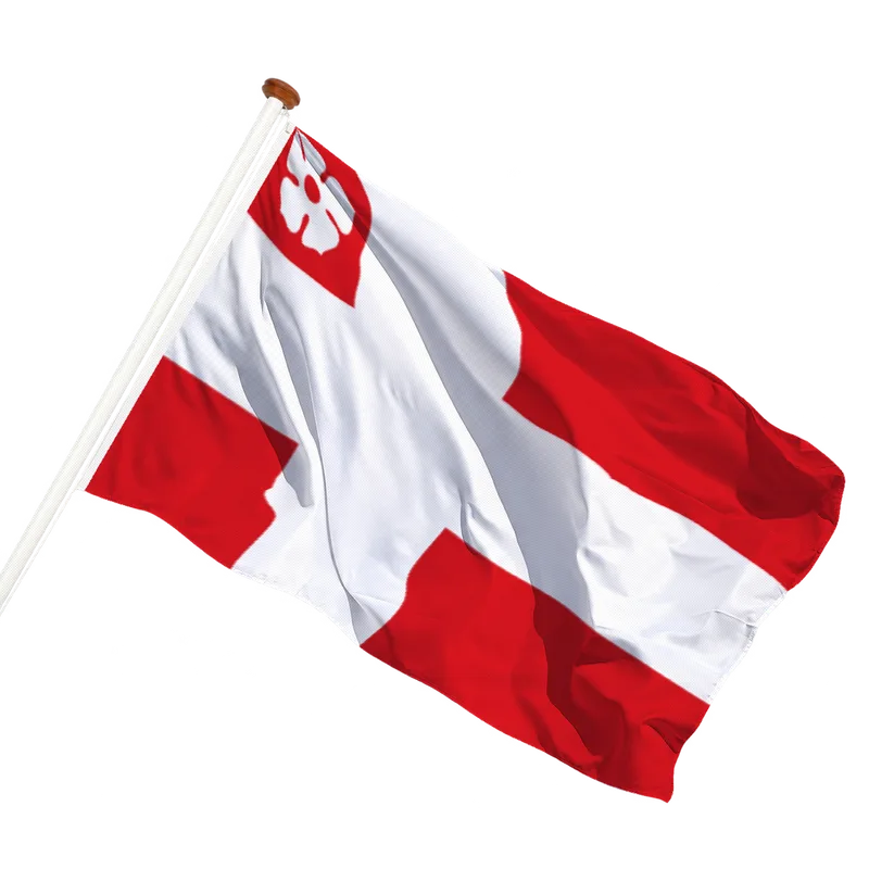 Vlag van Goor