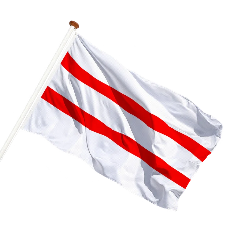 Vlag van Ammerzoden