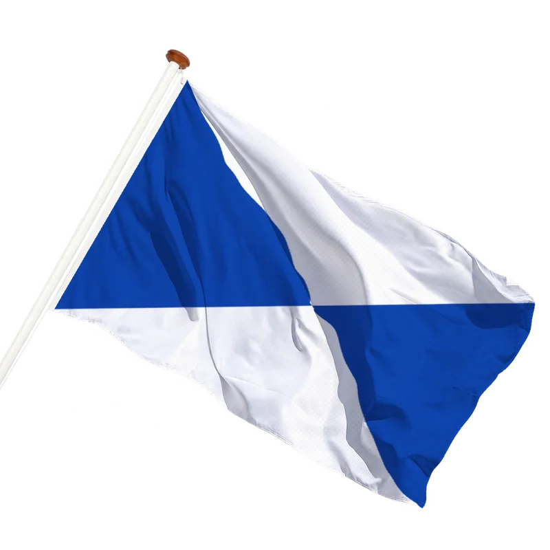 Vlag van Halle