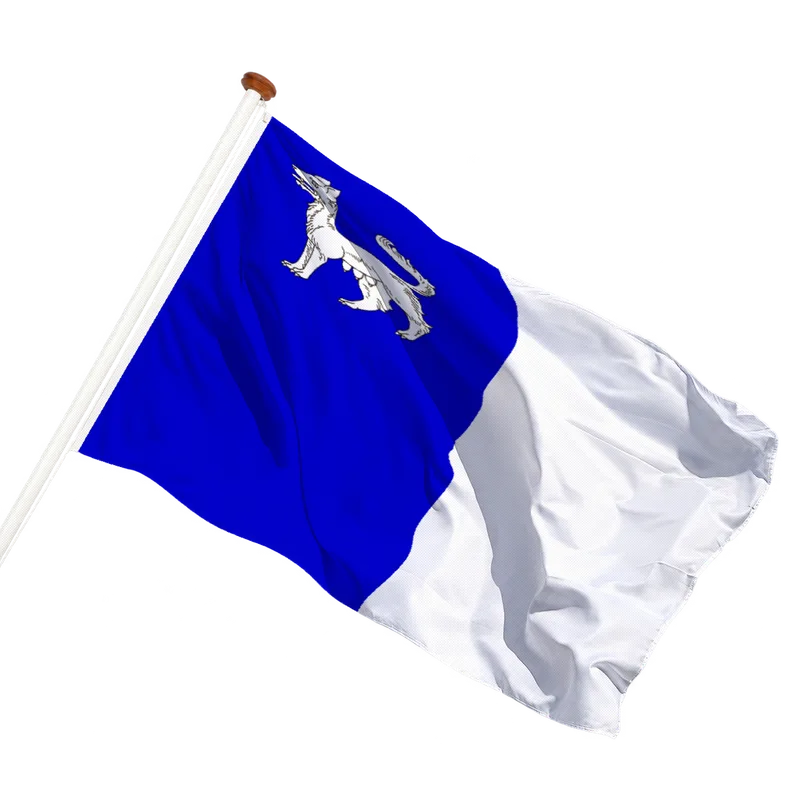 Vlag van La Louvière