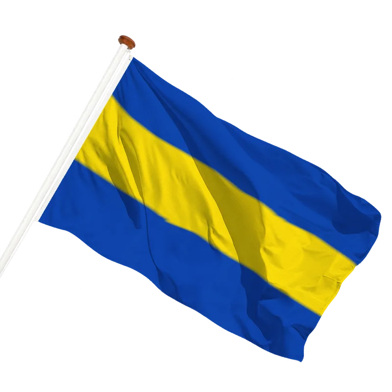 Vlag van Hedel