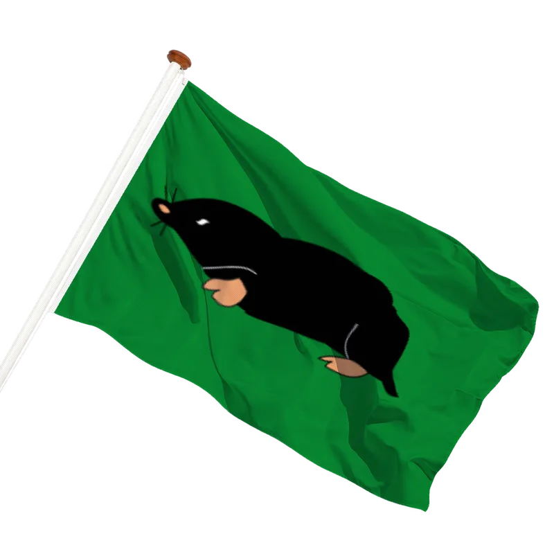 Vlag van Schermerhorn