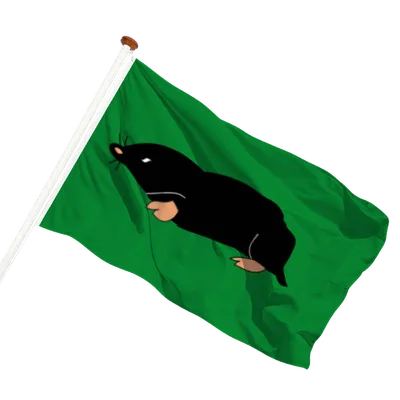 Transparant achtergrond