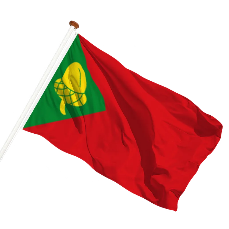 Vlag van Noordbergum