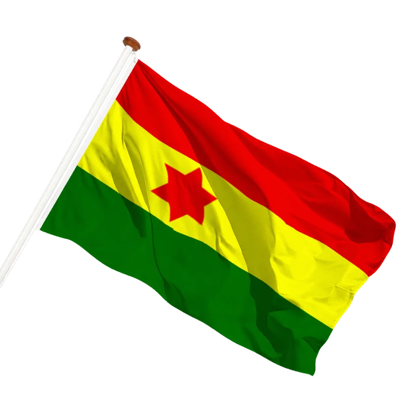 Vlag van Kollum