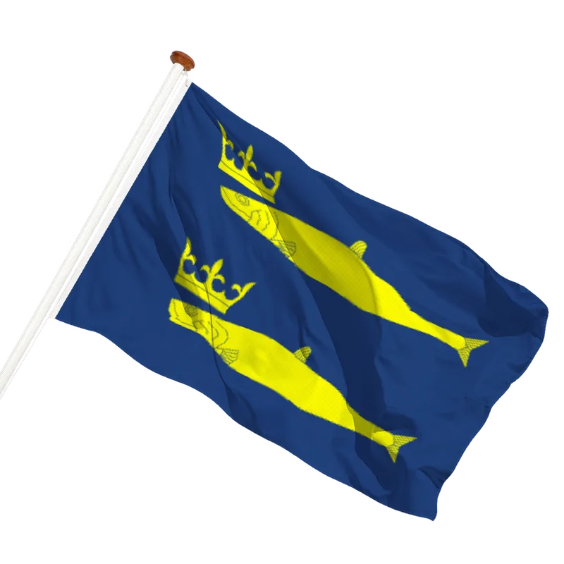 Vlag van De Rijp