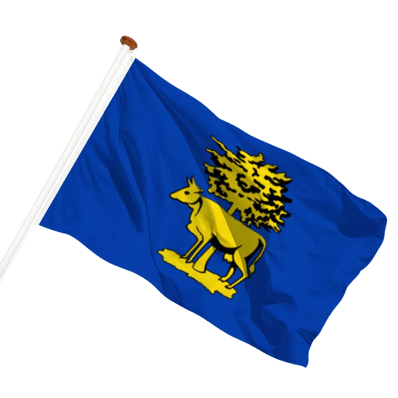 Vlag van Graft