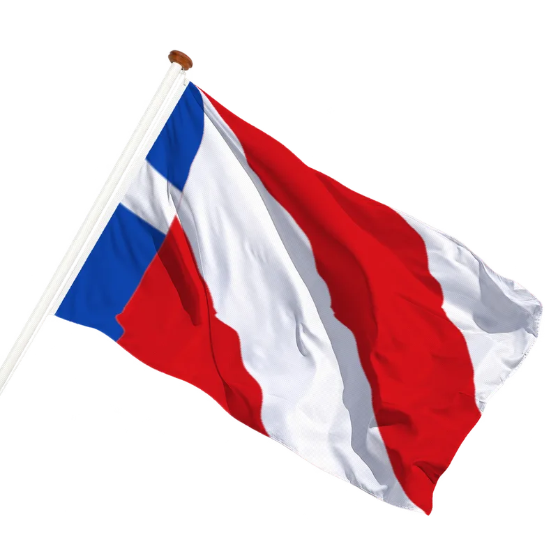 Vlag van Schettens