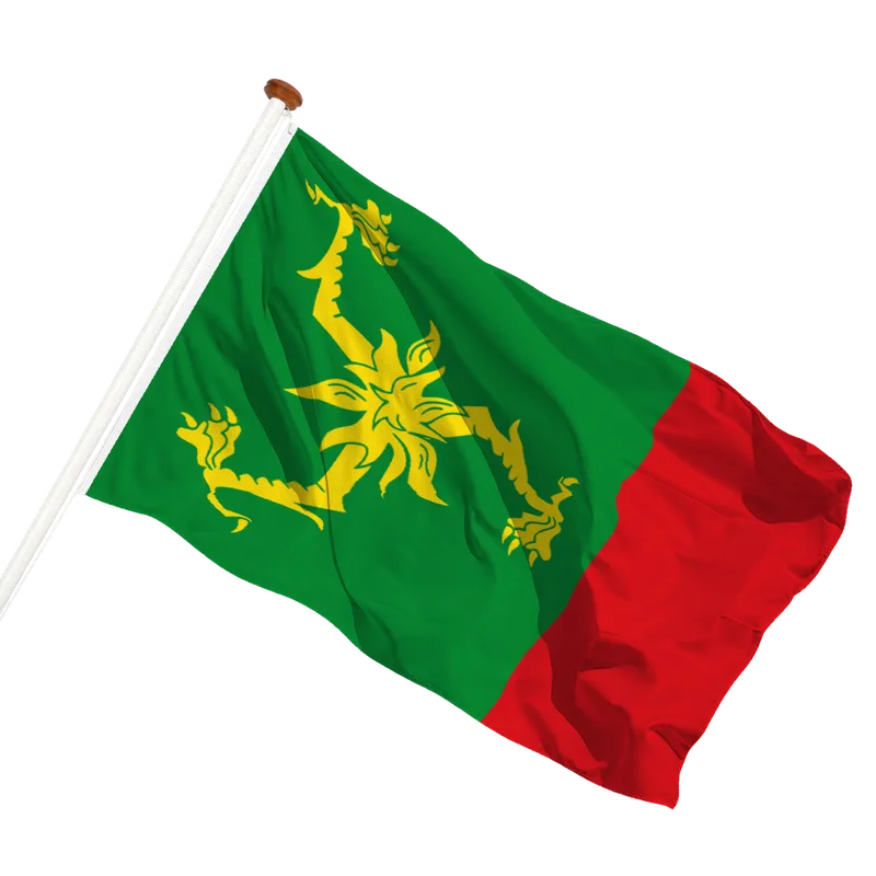 Vlag van Aegum
