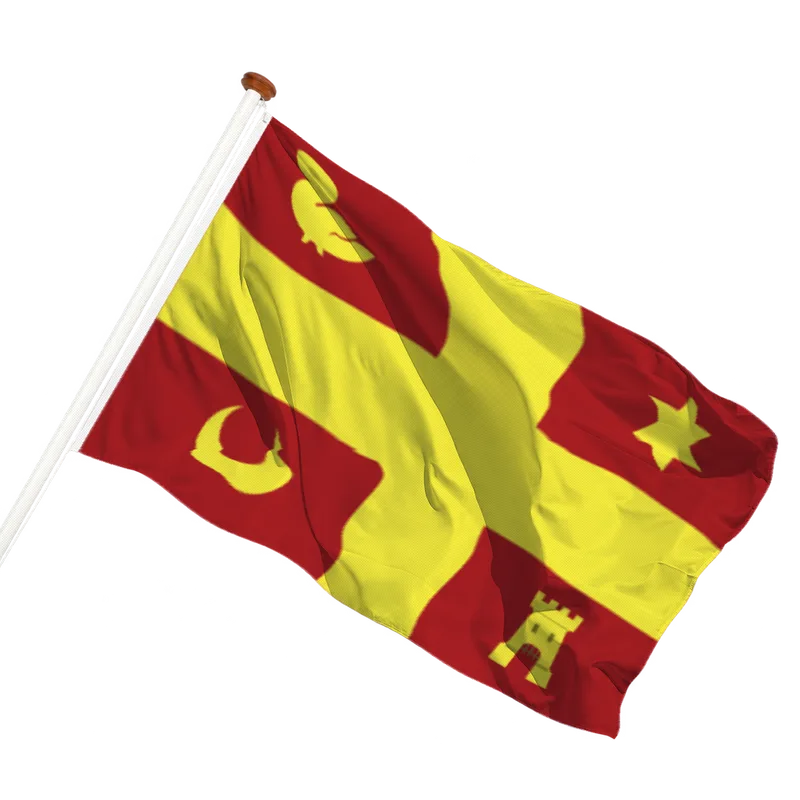 Vlag van Gemonde