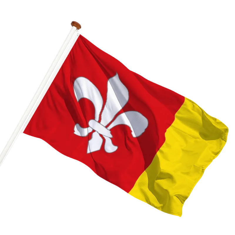 Vlag van Terhorne