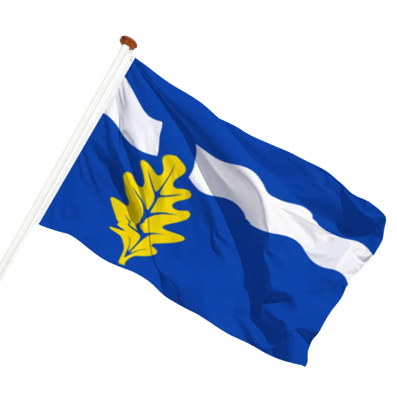 Vlag van Mildam