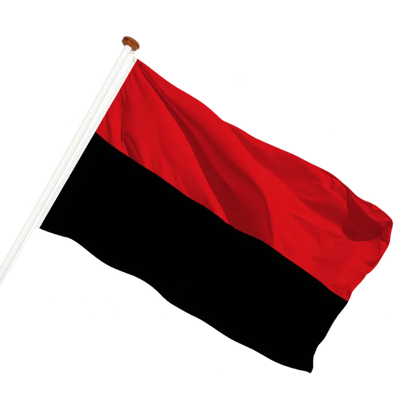 Vlag van Zoutleeuw
