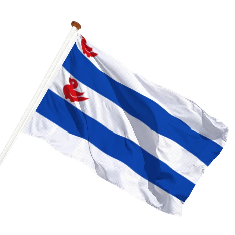 Vlag van Kootstertille