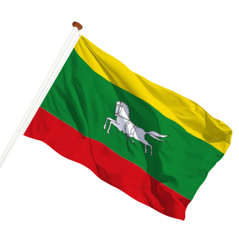 Vlag van Zuidlaren