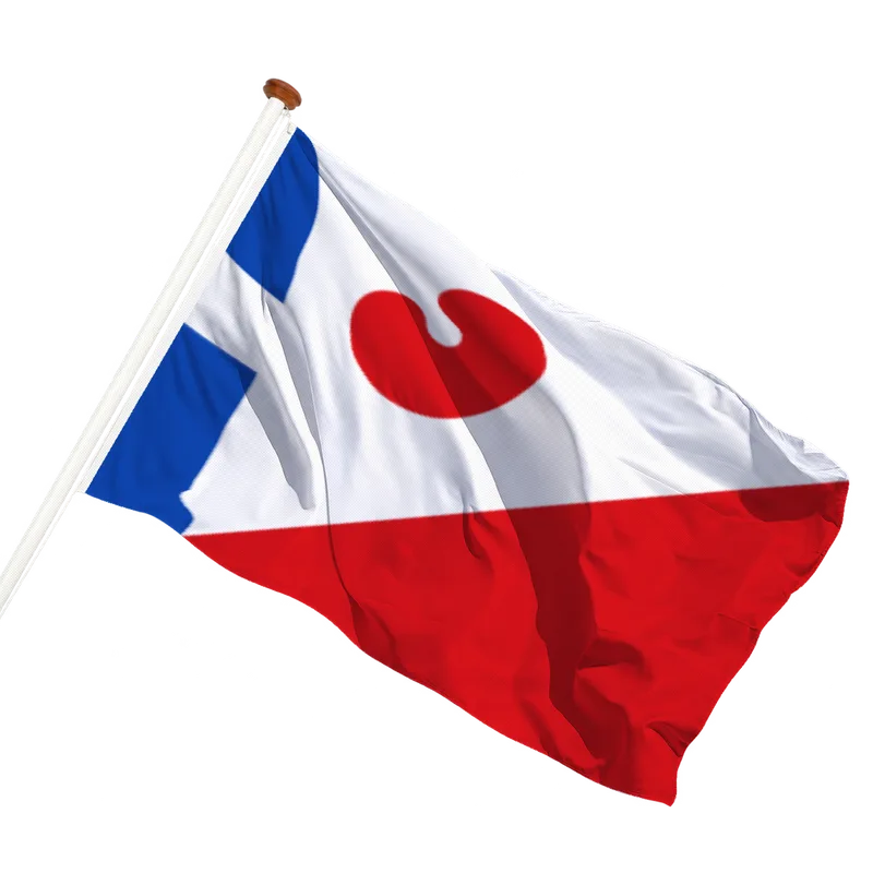 Vlag van Allingawier