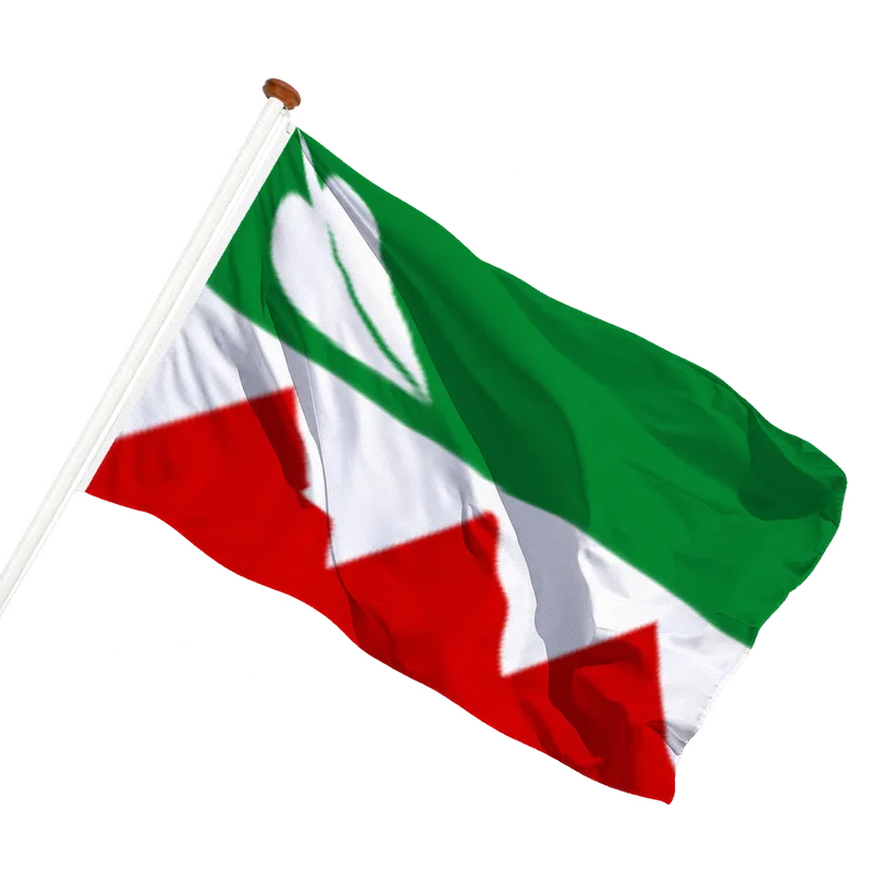 Vlag van De Tike