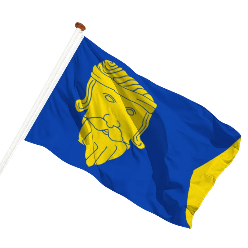 Vlag van Wormer