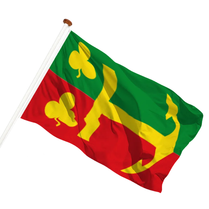 Vlag van Paesens