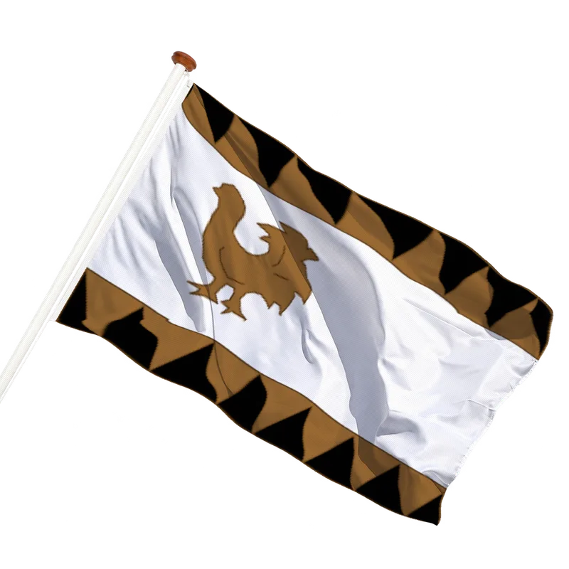 Vlag van Fochteloo