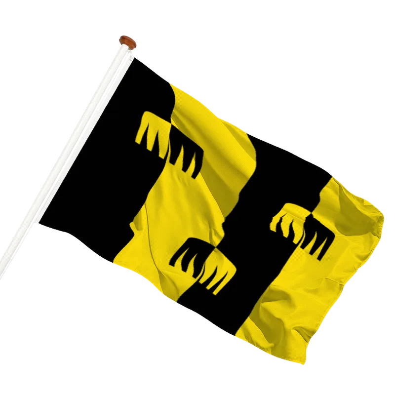 Vlag van Chaam
