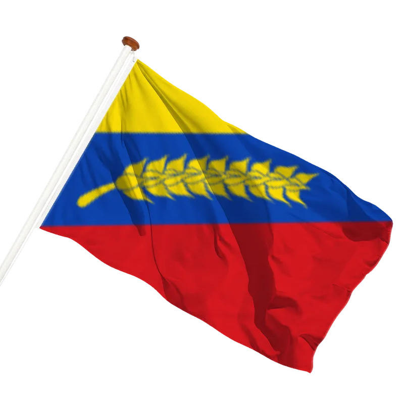 Vlag van Tzummarum
