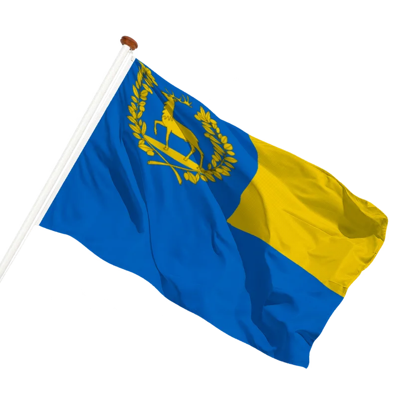 Vlag van Epe