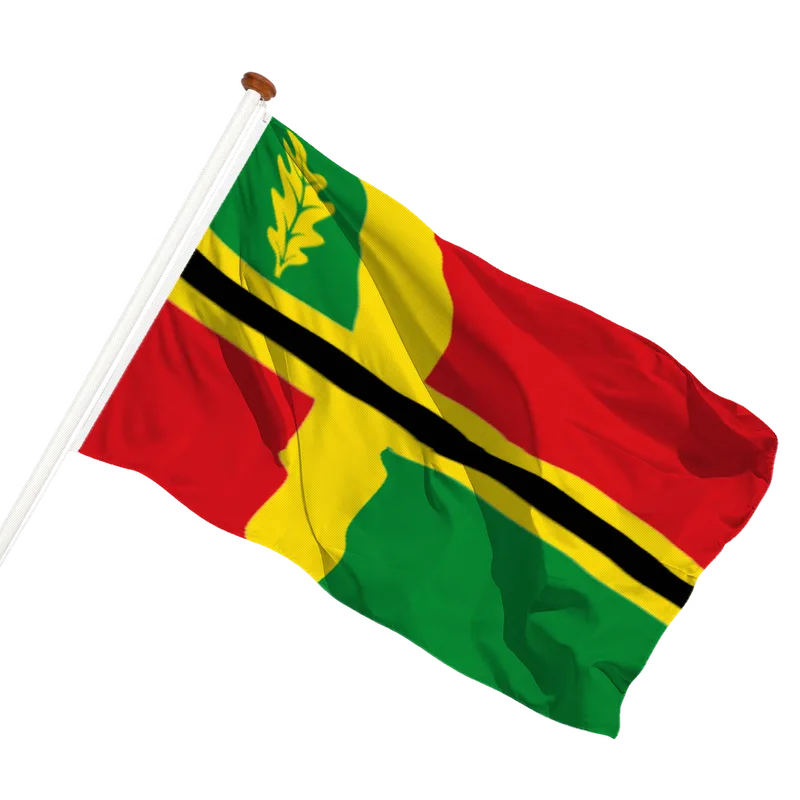Vlag van Bakkeveen