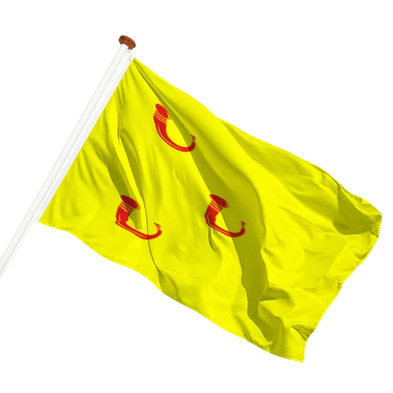 Vlag van Leende