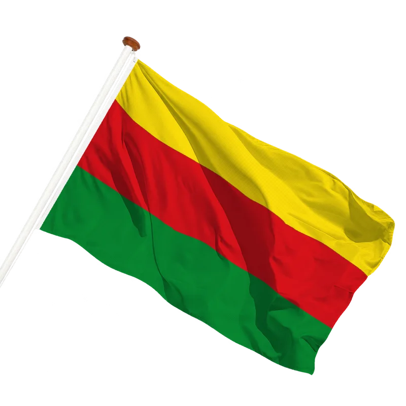 Vlag van Bilzen