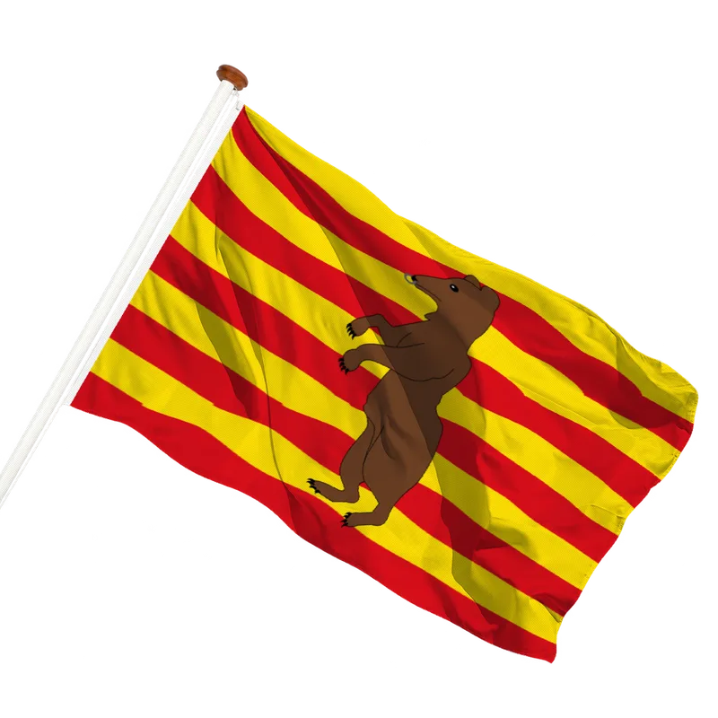 Vlag van Beringen
